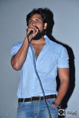 Krishna Gadi Veera Prema Gaadha Movie Success Tour